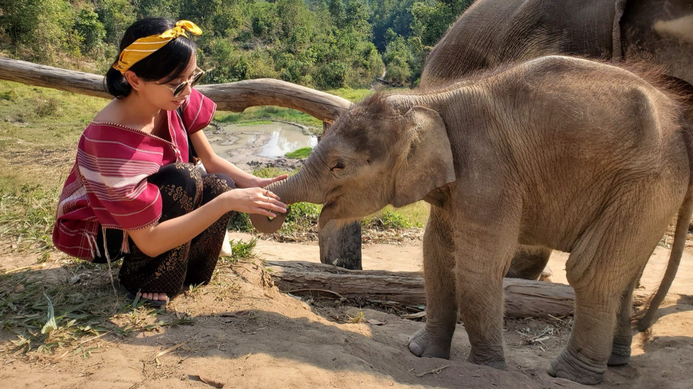 A visitor meeting a baby elephant at Samui Elephant Kingdom